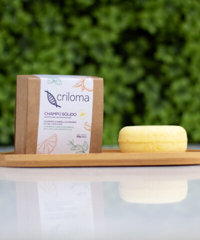 Champú sólido cabello graso