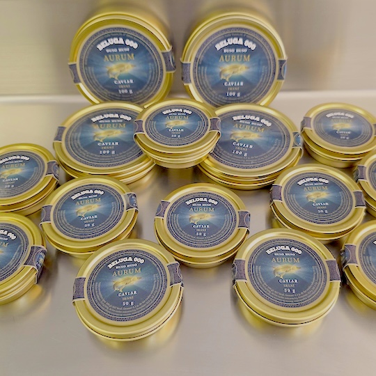 Beluga caviar: el caviar más exclusivo del mundo