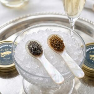 Diferencia entre caviar Beluga y Osetra - Aurum Caviar