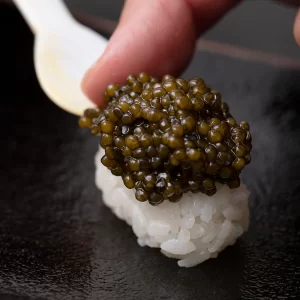 Caviar kaluga