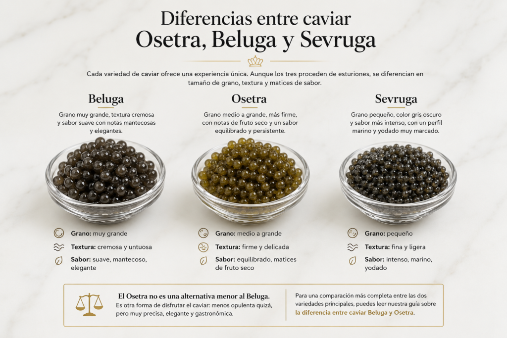 Diferencias entre caviar Osetra, Beluga y Sevruga